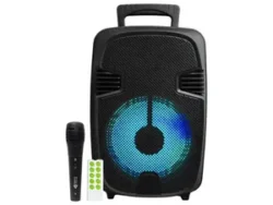 Parlante Oryx Portátil 8 Pulgadas Micrófono Y Luces Led SP-1146-5A