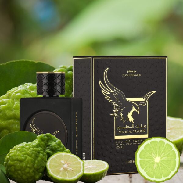 Perfume Lattafa Malik Al Tayoor Concentrated Eau de Parfum 100ml - Image 2