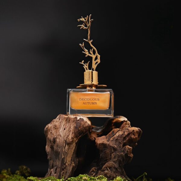 Perfume Aurora Scents Deciduous Autumn EDP 100 ml - Image 3