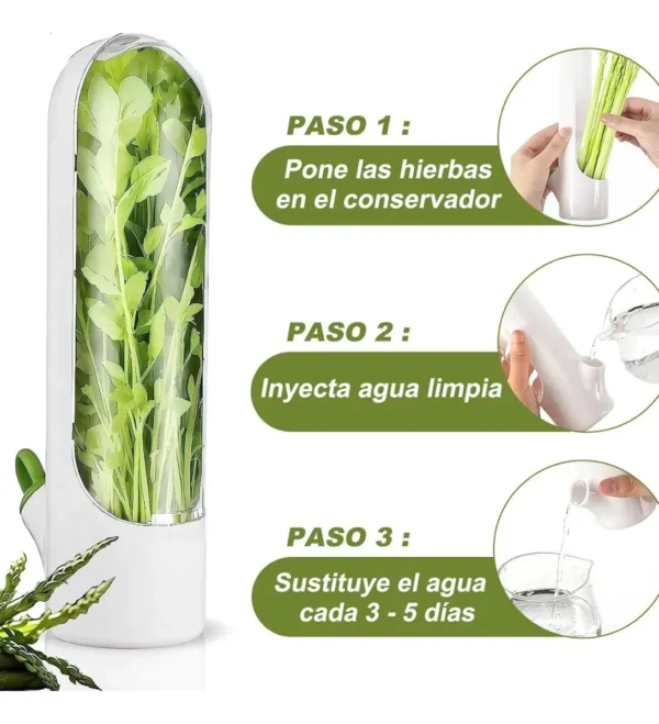Conservador De Hierbas Fresco Para Nevera - Mantén Cilantro, Perejil, Menta Y Más Crujientes Por Más Tiempo, ¡con Tapa Protectora!