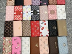 Billetera Para Dama Varios Diseños