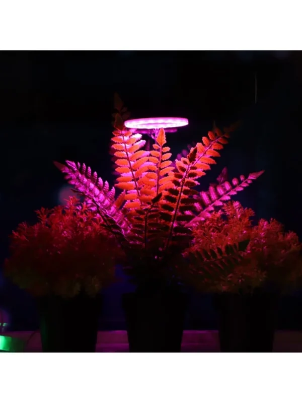Lámpara LED de cultivo para plantas 2 W C1-F1-02 - Image 6