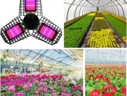 Lampara de Cultivo de Plantas de 80W A3-F5-01