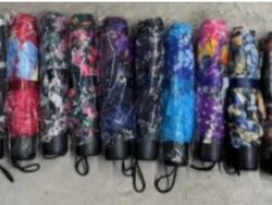 Paraguas Estampados Mixtos