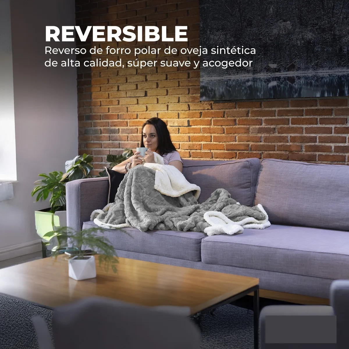 Acolchado Manta Corderito Con Relieve Grande De 180*220cm - Image 5