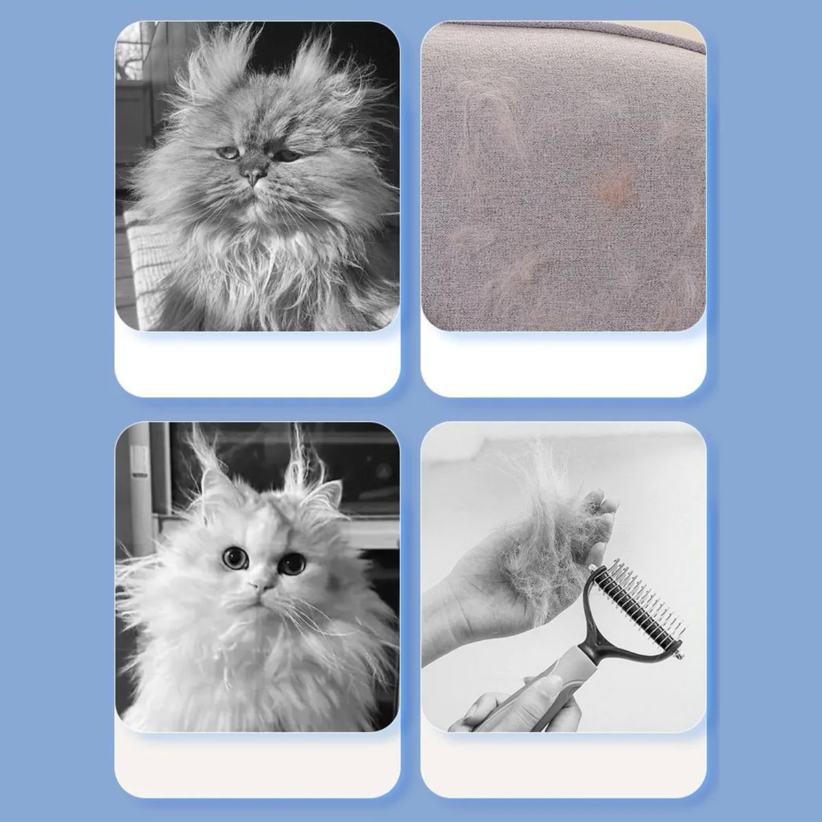 Cepillo Para Peinar Mascotas Diseño Caracol WB726 - Image 3