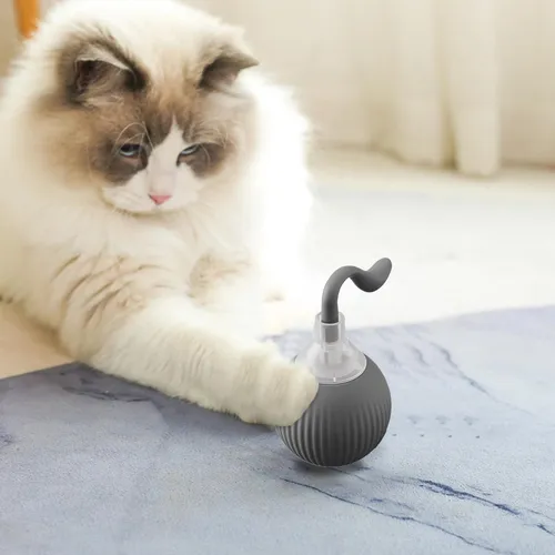 Pelota Juguete Mascota Automatica Interactiva DSCW 0002 - Image 4