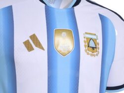 CAMISETA REMERA ARGENTINA X DOCENA TALLE 3 M,5 L,3 XL,1 XXL