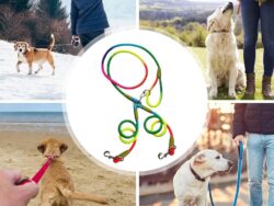 Correa Doble Para Arnes Paseo Mascotas Arcoiris ST-10