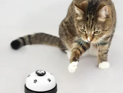 Campana para adiestramiento de Mascotas Con Diseño Huellita WB229