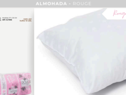 Almohada Blanco Paris Rouge 57x35cm AL7006
