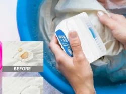 Cepillo De Espuma Limpieza en Seco KISI 78509