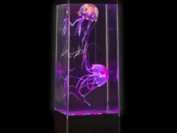 Lampara Luminosa Medusa Flotante Melech-572