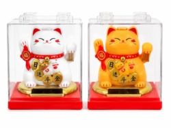 Gato Gatito de La Fortuna en Caja Transparente