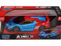 Auto Con Control Remoto Racing CAR-10