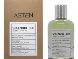 Perfume Asten Splendid 300 Edp 100ml